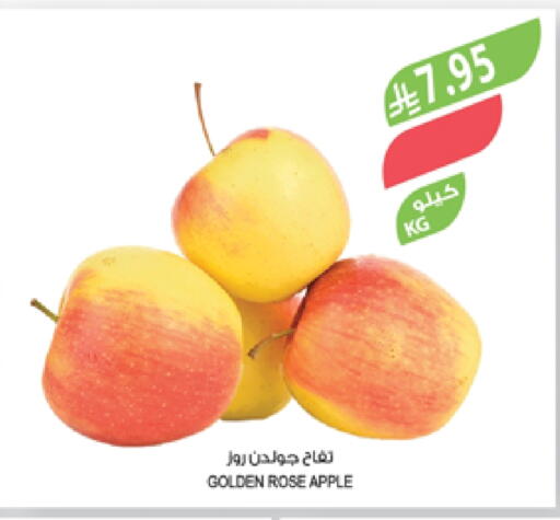 Apples available at Farm  in KSA, Saudi Arabia, Saudi - Abha