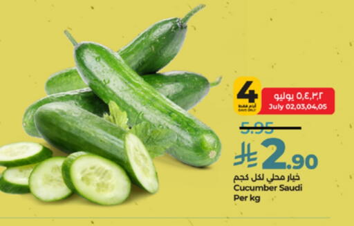 Cucumber from Saudi Arabia available at LULU Hypermarket in KSA, Saudi Arabia, Saudi - Tabuk