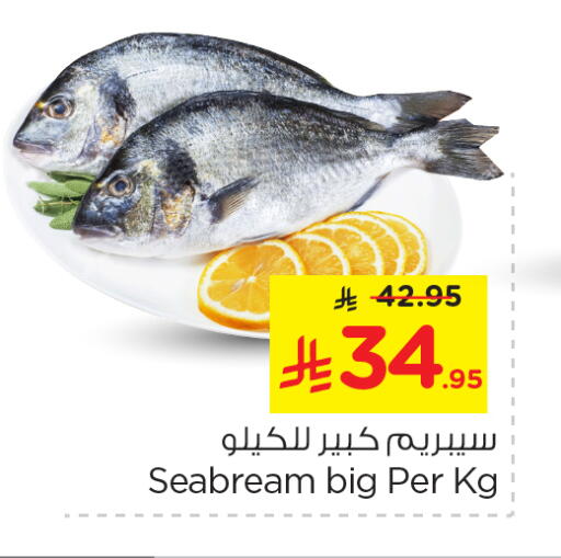 available at نستو in مملكة العربية السعودية, السعودية, سعودية - الخرج