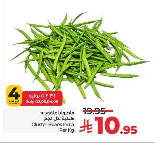 Beans from India available at LULU Hypermarket in KSA, Saudi Arabia, Saudi - Al Khobar
