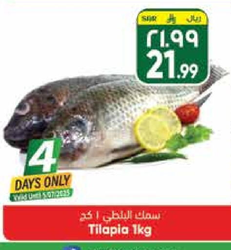 available at City Flower in KSA, Saudi Arabia, Saudi - Hail