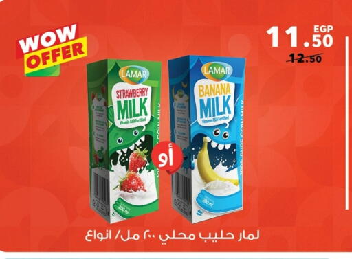 Flavoured Milk available at Panda  in Egypt - Cairo