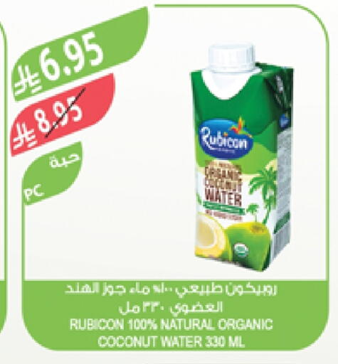 Coconut available at Farm  in KSA, Saudi Arabia, Saudi - Tabuk