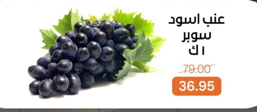 available at بيت الجملة in Egypt - القاهرة