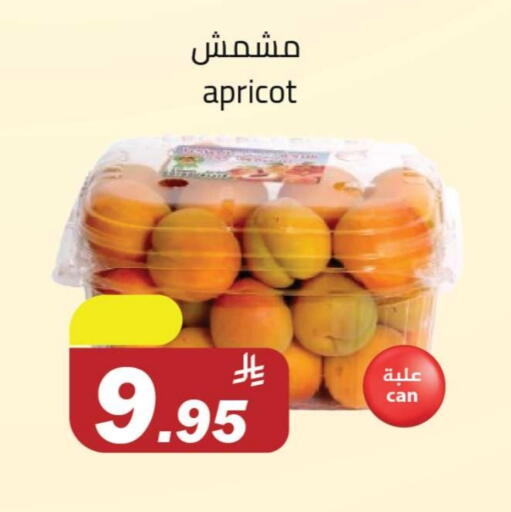 Apricot available at مخازن سوبرماركت in مملكة العربية السعودية, السعودية, سعودية - الرياض