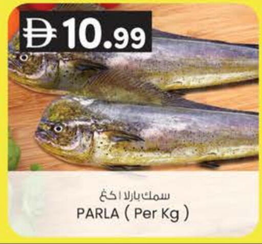 available at K M Trading  in UAE - Fujairah