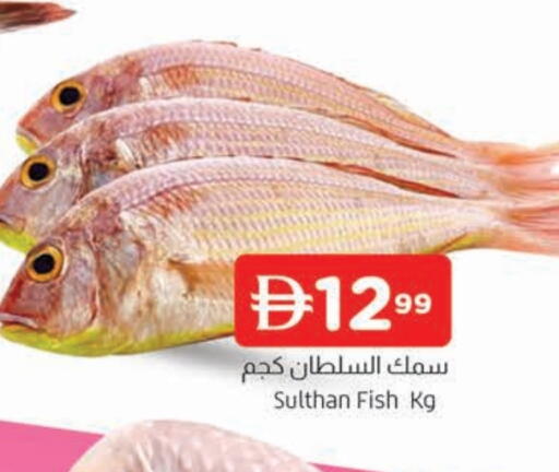 available at المدينة in الإمارات العربية المتحدة , الامارات - الشارقة / عجمان