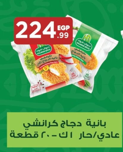 بانية الدجاج available at المحلاوي ستورز in Egypt - القاهرة