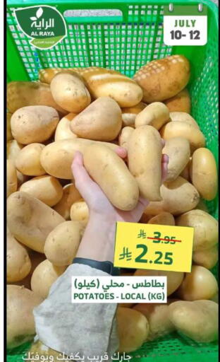 Potato available at Al Raya in KSA, Saudi Arabia, Saudi - Bishah