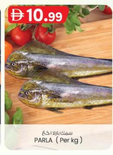 available at K M Trading  in UAE - Abu Dhabi