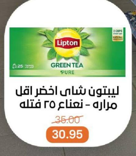 Lipton Green Tea Bag available at Beit El Gomla in Egypt - Cairo