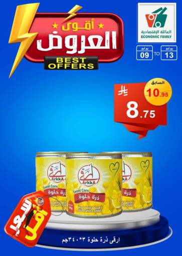 available at Economic Family in KSA, Saudi Arabia, Saudi - Yanbu
