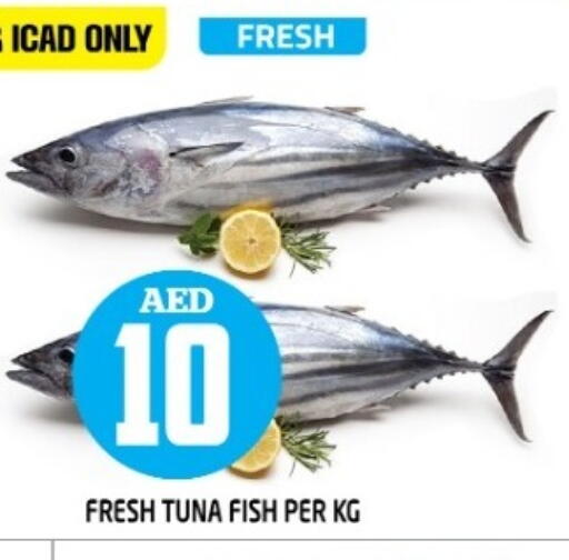 Tuna available at Baniyas Spike  in UAE - Fujairah