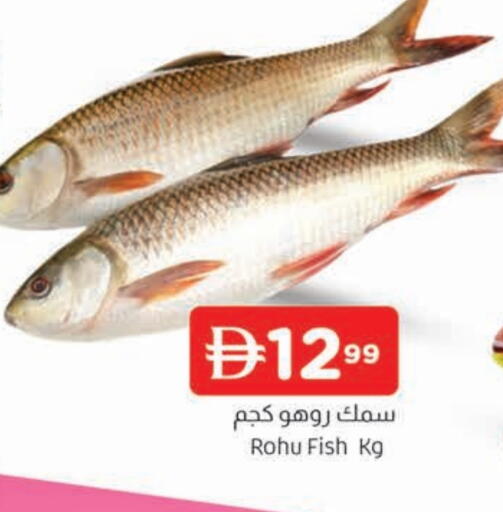 available at المدينة in الإمارات العربية المتحدة , الامارات - الشارقة / عجمان