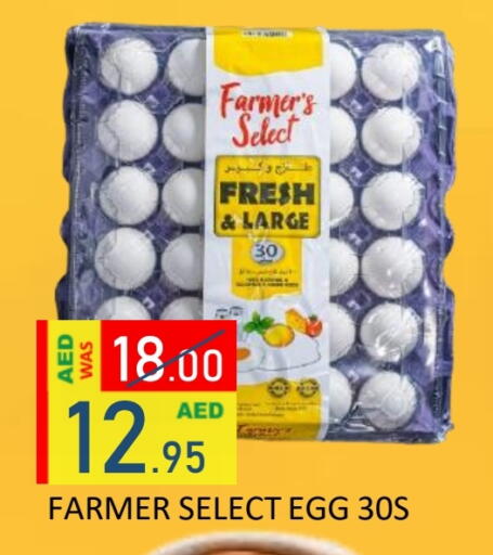 available at ROYAL GULF HYPERMARKET LLC in UAE - Abu Dhabi