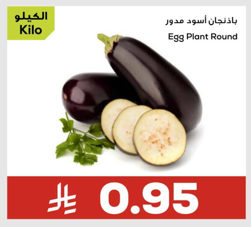 available at أسواق أسترا in مملكة العربية السعودية, السعودية, سعودية - تبوك