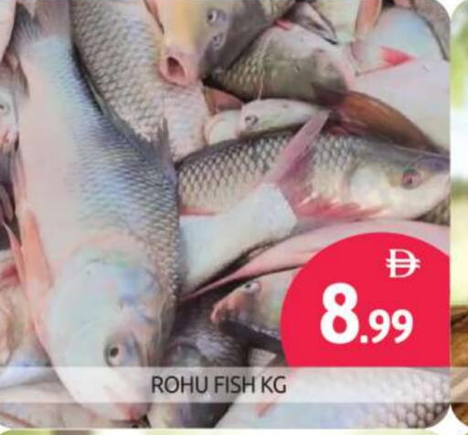 available at BIGmart in UAE - Abu Dhabi