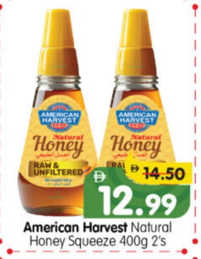 AMERICAN HARVEST Honey available at Al Madina Hypermarket in UAE - Abu Dhabi