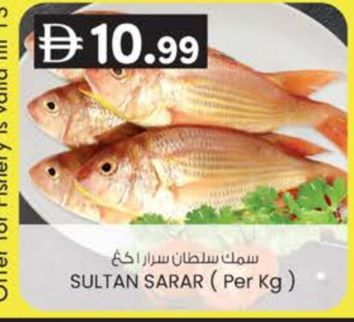 available at K M Trading  in UAE - Fujairah