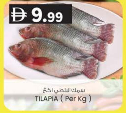 available at K M Trading  in UAE - Fujairah