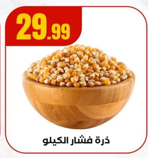 available at El Mahlawy Stores in Egypt - Cairo