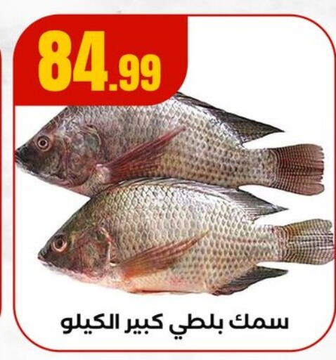 available at مارت فيل in Egypt - القاهرة