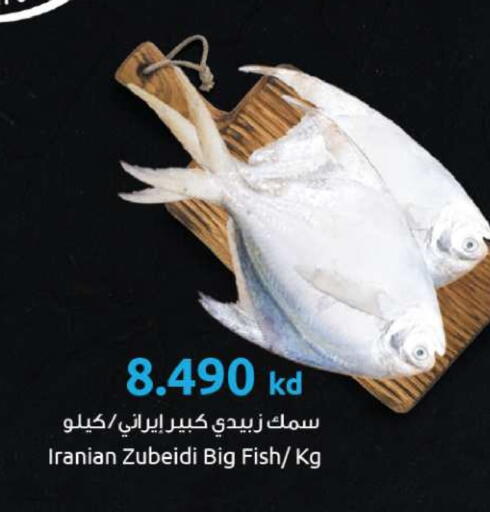 available at The Sultan Center in Kuwait - Kuwait City