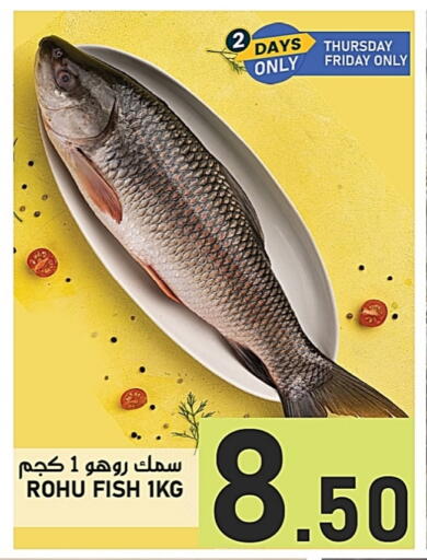 available at باشن هايبر ماركت in قطر - أم صلال