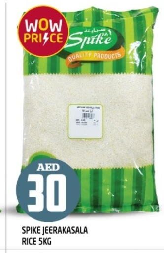 Jeerakasala Rice available at Baniyas Spike  in UAE - Umm al Quwain