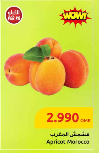 Apricot available at Sultan Center  in Oman - Sohar