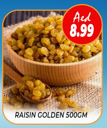 available at داي لايف هايبرماركت in الإمارات العربية المتحدة , الامارات - دبي
