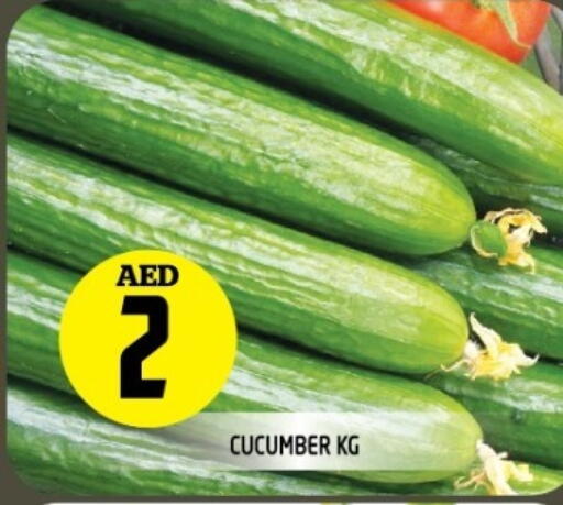 خيار available at سنابل بني ياس in الإمارات العربية المتحدة , الامارات - الشارقة / عجمان