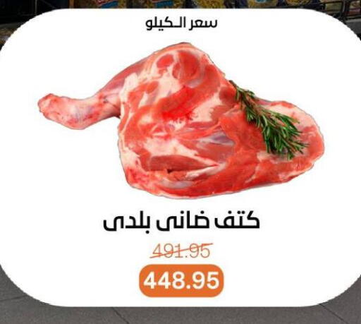 available at بيت الجملة in Egypt - القاهرة