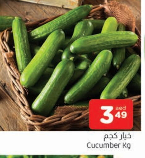 خيار available at المدينة in الإمارات العربية المتحدة , الامارات - الشارقة / عجمان