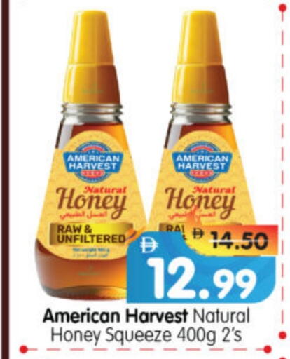 AMERICAN HARVEST Honey available at Al Madina Hypermarket in UAE - Abu Dhabi