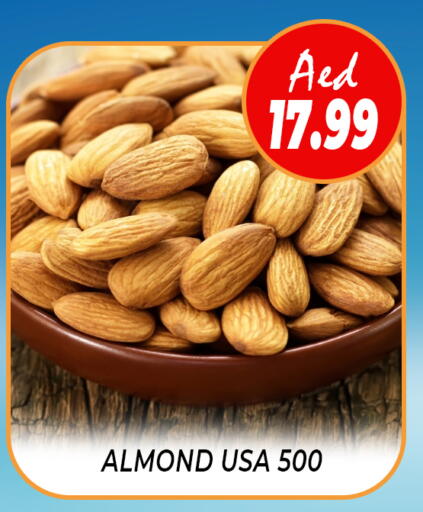 available at داي لايف هايبرماركت in الإمارات العربية المتحدة , الامارات - دبي