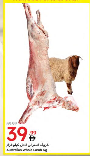 لحم الضأن / الغنم available at جمعية الامارات التعاونية in الإمارات العربية المتحدة , الامارات - دبي