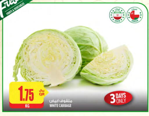 Cabbage from Iran Oman available at Al Meera in Qatar - Al-Shahaniya
