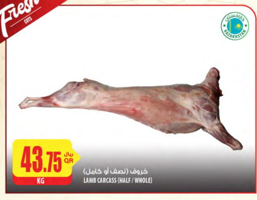 لحم الضأن / الغنم available at شركة الميرة للمواد الاستهلاكية in قطر - الضعاين
