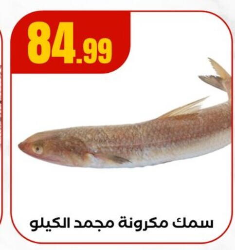 available at مارت فيل in Egypt - القاهرة