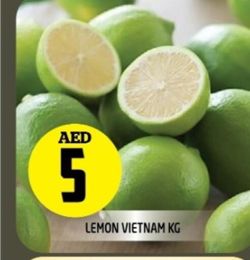 lemon from Vietnam available at سنابل بني ياس in الإمارات العربية المتحدة , الامارات - ٱلْفُجَيْرَة‎