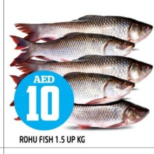 available at Baniyas Spike  in UAE - Abu Dhabi