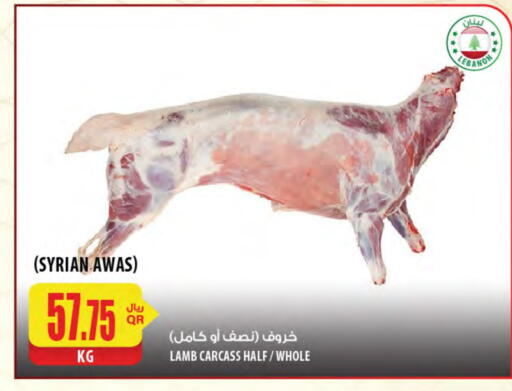 لحم الضأن / الغنم available at شركة الميرة للمواد الاستهلاكية in قطر - الضعاين