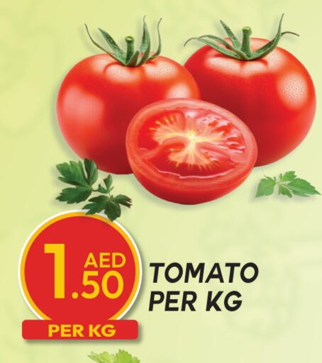 Tomato available at Dream Land in UAE - Dubai