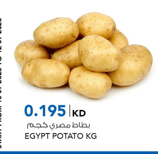 Potato from Egypt available at  ALNASSER HYPERMARKET in Kuwait - Kuwait City