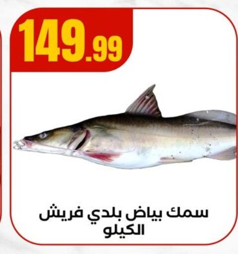 available at مارت فيل in Egypt - القاهرة