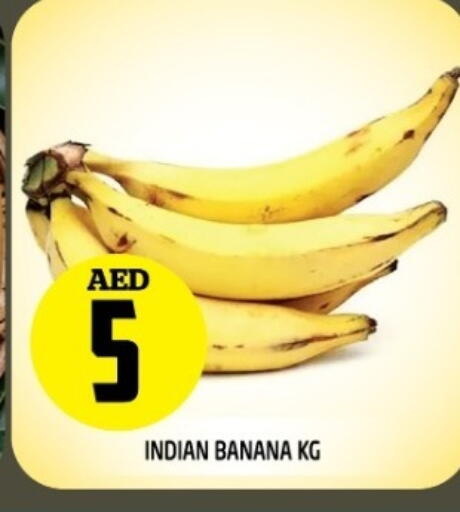 Banana from India available at Baniyas Spike  in UAE - Abu Dhabi
