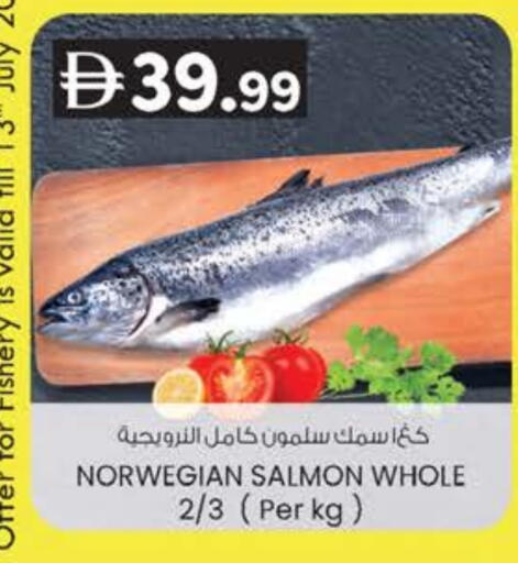 available at K M Trading  in UAE - Dubai
