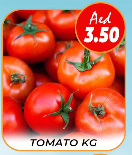 Tomato available at Daylife Hypermarket LLC in UAE - Dubai