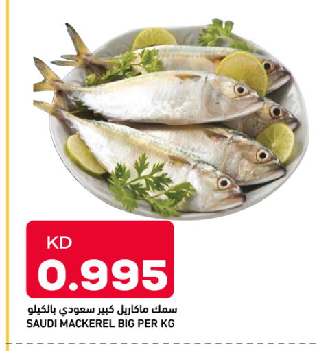 available at أونكوست in الكويت